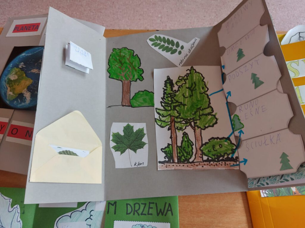 Zdjęcie przedstawia lapbook ucznia na temat warstw lasu.