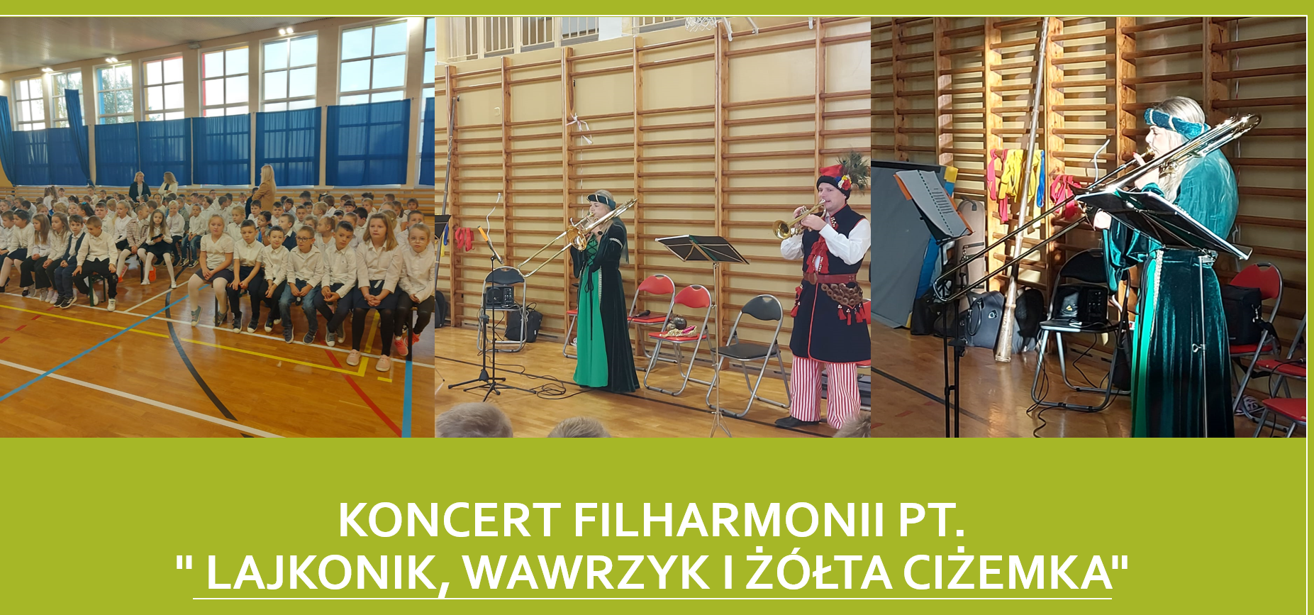 Koncert filharmonii