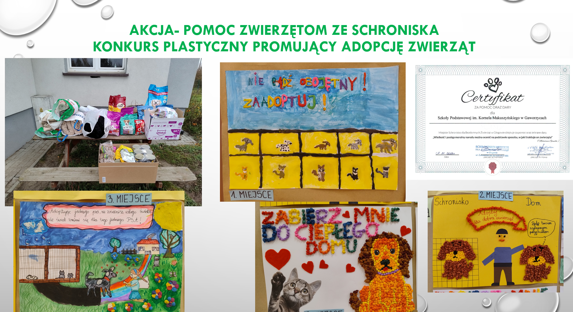 Akcja- pomoc zwierzętom ze schroniskaKonkurs plastyczny promujący adopcję zwierząt