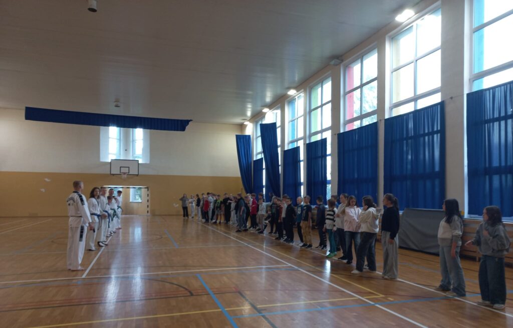 Europejski Dzień Sportu Szkolnego. Na zdjęciu trenerzy taekwondo pokazują uczniom ustawionym w szeregu elementy teakwondo.
