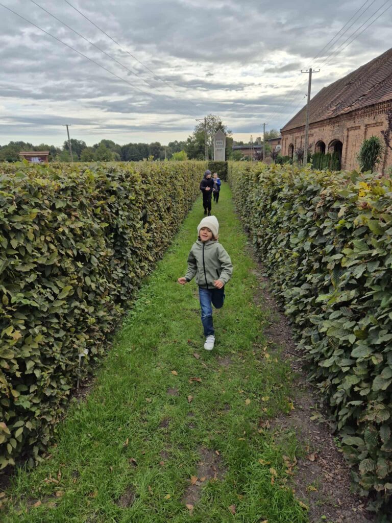 Wycieczka edukacyjna do Dalkowa. Na zdjęciu uczniowie biegną labiryncie zrobionych z żywopłotu, po prawej stronie widać ceglany budynek.