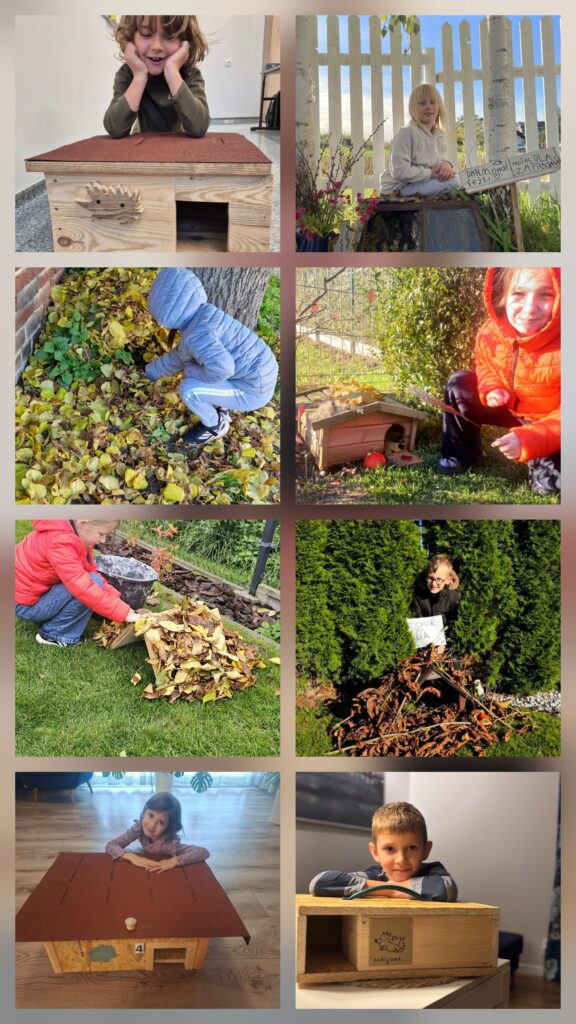 Kolaż przedstawia dzieci z klasy pierwszej, które zbudowały domki dla jeży.
Kolaż składa się z 8 fotografii ułożonych obok siebie. Zdjęcia mają pogodny, naturalny charakter.
Na zdjęciach widać dzieci przy zrobionych domkach dla jeży. Niektóre dzieci kucają przy ziemi, inne trzymają w rękach domki. Na twarzach dzieci widać radość z powstałych domków. Dzieci na zdjęciach są ubrane w kurtki, bluzy lub koszulki. Zdjęcia dzieci z domkami były zrobione na dworze lub w pomieszczeniu. Kolaż pokazuje zaangażowanie dzieci, ich ciekawość świata oraz radość z pomagania jeżom.