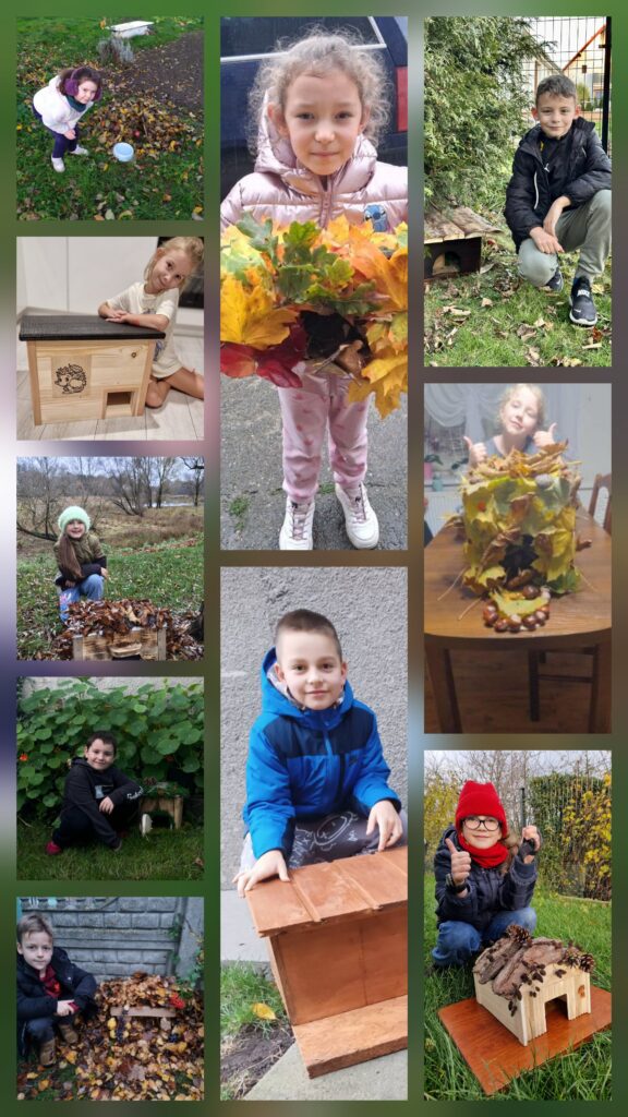 Kolaż przedstawia dzieci z klasy pierwszej, które zbudowały domki dla jeży.
Kolaż składa się z 10 fotografii ułożonych obok siebie. Zdjęcia mają pogodny, naturalny charakter.
Na zdjęciach widać dzieci przy zrobionych domkach dla jeży. Niektóre dzieci kucają przy ziemi, inne trzymają w rękach domki. Na twarzach dzieci widać radość z powstałych domków. Dzieci na zdjęciach są ubrane w kurtki, bluzy lub koszulki. Zdjęcia dzieci z domkami były zrobione na dworze lub w pomieszczeniu. Kolaż pokazuje zaangażowanie dzieci, ich ciekawość świata oraz radość z pomagania jeżom.