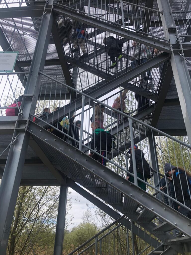 Na zdjęciu widać grupę dzieci wchodzących po metalowych schodach na wysoką konstrukcję, prawdopodobnie wieżę widokową. Schody są ażurowe, z siatkowymi stopniami i zabezpieczone barierkami. Konstrukcja ma kilka poziomów, a dzieci poruszają się zarówno po niższych, jak i wyższych piętrach.

Uczestnicy mają na sobie kurtki, czapki i plecaki, co sugeruje, że to zorganizowana wycieczka, być może szkolna. Niektóre dzieci trzymają się poręczy podczas wspinania się. W tle widać drzewa i wiosenną roślinność, co wskazuje na teren leśny lub parkowy.

Całość sprawia wrażenie aktywnego wyjścia na świeżym powietrzu, gdzie dzieci eksplorują okolicę i wspinają się na punkt widokowy.