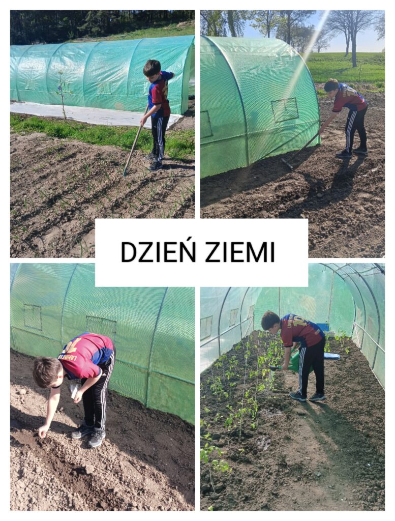 Na kolażu zatytułowanym „DZIEŃ ZIEMI” przedstawiono chłopca wykonującego różne prace ogrodnicze i pielęgnacyjne w przydomowym ogródku oraz tunelu foliowym.

W górnej lewej części zdjęcia chłopiec spulchnia ziemię motyką lub grabiami między rzędami roślin rosnących na grządce. W tle widoczny jest zielony tunel foliowy.

W górnej prawej części pracuje przy tunelu, wyrównując i przygotowując glebę do uprawy. Słoneczna pogoda podkreśla wiosenny charakter wykonywanych prac.

W dolnej lewej części chłopiec sieje lub sadzi rośliny na przygotowanej grządce. Starannie umieszcza nasiona lub sadzonki w ziemi, dbając o ich prawidłowy wzrost.

W dolnej prawej części podlewa młode rośliny znajdujące się wewnątrz tunelu foliowego. Rzędy zielonych sadzonek świadczą o systematycznej pielęgnacji warzyw lub innych upraw.

Całość ukazuje aktywne działania na rzecz środowiska i przyrody. Kolaż promuje wartości związane z Dniem Ziemi, takie jak troska o rośliny, szacunek do natury, pracowitość oraz dbałość o zdrowe i ekologiczne uprawy.