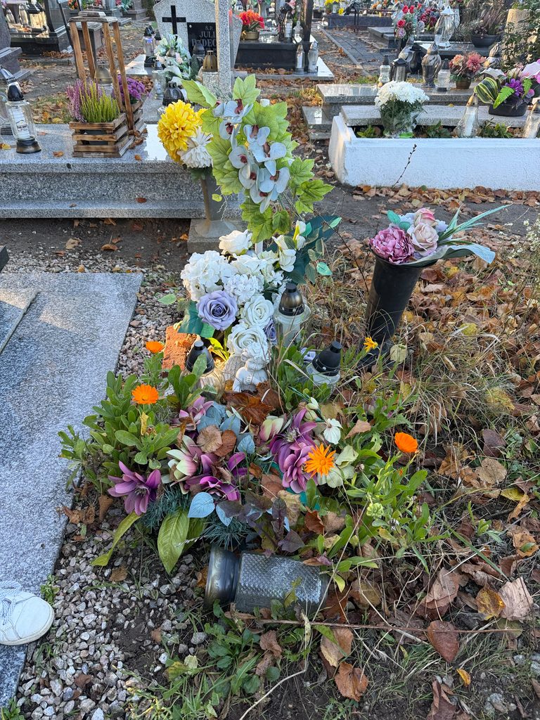 Na zdjęciu widoczny jest mały grób, bez pomnika tylko z metalowym krzyżem. Cały grób obłożony jest licznymi wiązankami ze sztucznych kwiatów. Przed grobem leży przewrócony szklany znicz. Grób wygląda na opuszczony. Z prawej strony stoi duży plastikowy wazon z kilkoma sztucznymi kwiatkami. Dookoła widać zadbane nagrobki.